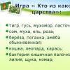 Презентация на тему основные среды жизни